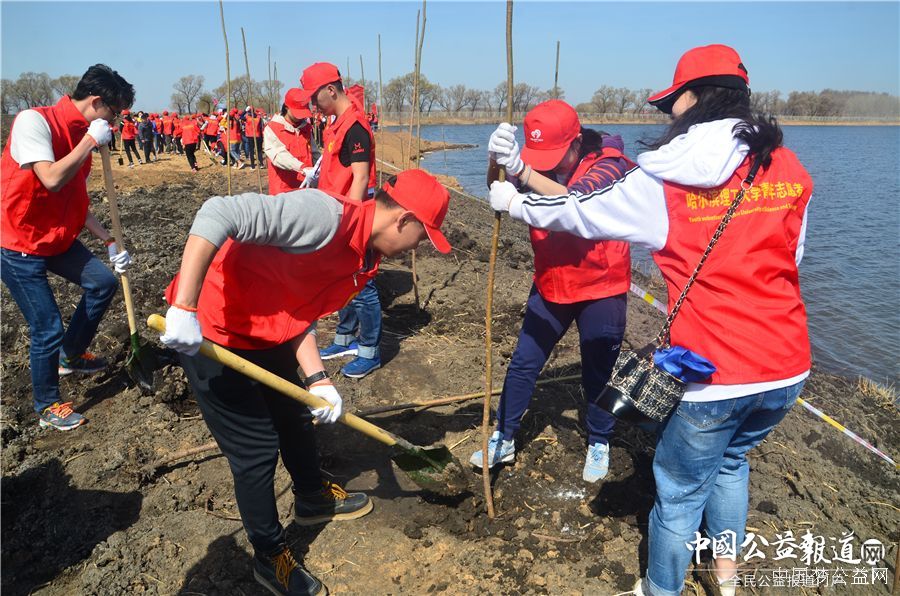 必赢626net入口首页圆满完成“保护青山绿水_共建大美龙江”千人公益植树志愿服务工作